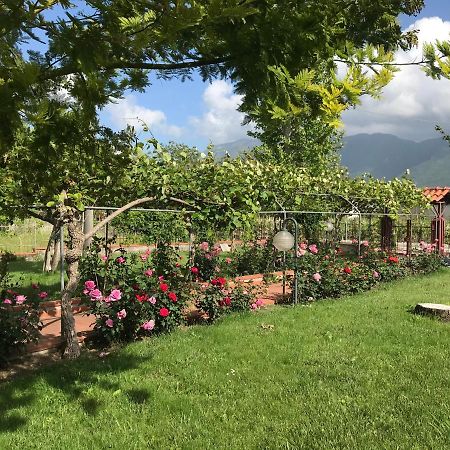 Alma Migrante Bed&Wine Hotel Telese Terme Luaran gambar