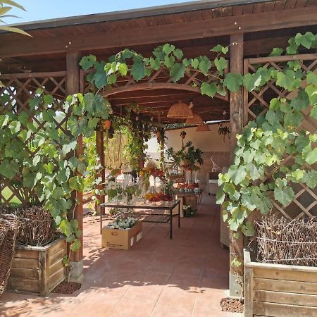 Alma Migrante Bed&Wine Hotel Telese Terme Luaran gambar