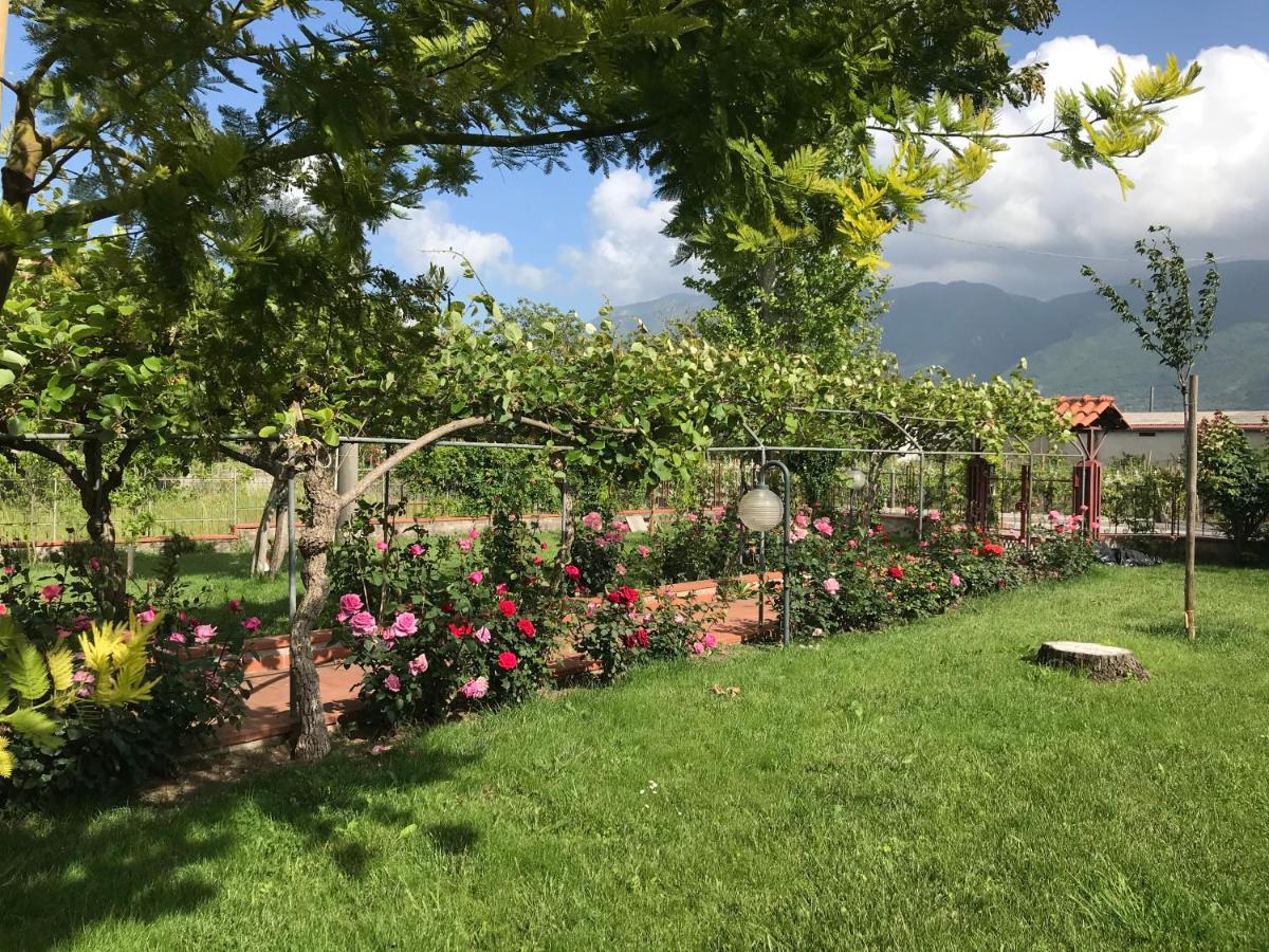 Alma Migrante Bed&Wine Hotel Telese Terme Luaran gambar
